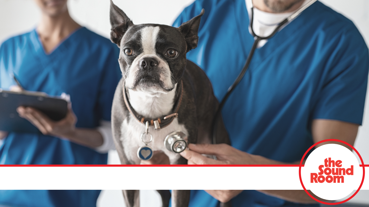 Heritage-Vet-Clinic-case-study