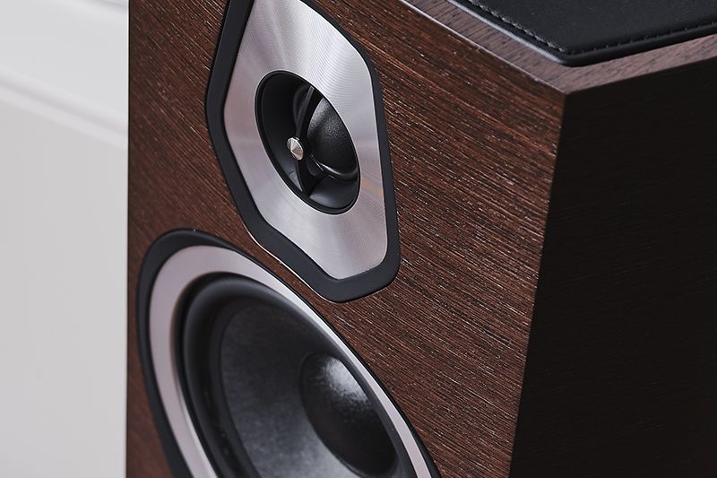 sonetto I speaker detail