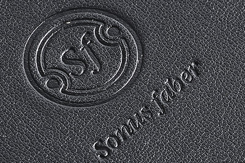 sonetto VIII speaker detail