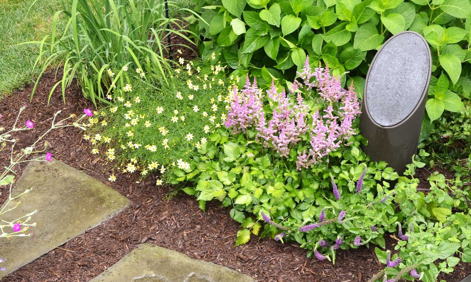 coastal source lighting fixture